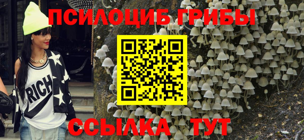 Галлюциногенные грибы MAGIC MUSHROOMS Дмитров