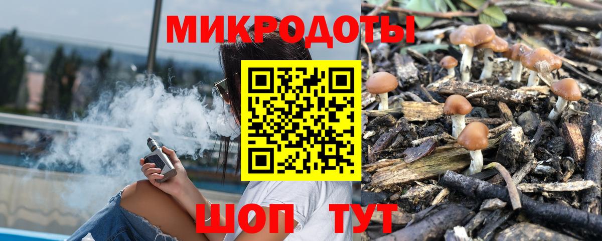 Дмитров  Галлюциногенные грибы ЛСД  Вход с VPN  даркнет сайт  Галлюциногенные грибы GOLDEN TEACHER 